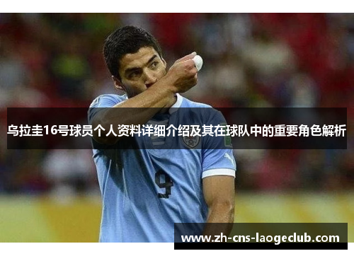 乌拉圭16号球员个人资料详细介绍及其在球队中的重要角色解析