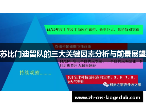 苏比门迪留队的三大关键因素分析与前景展望