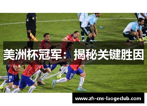 美洲杯冠军：揭秘关键胜因
